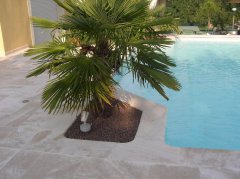 Aménagement extérieur › Piscine à Morges